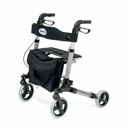 Ходунки-роллаторы Barry Smart