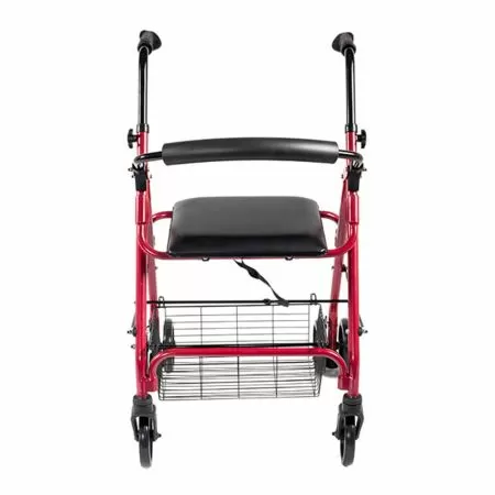 Ходунки-роллаторы Barry RollPush